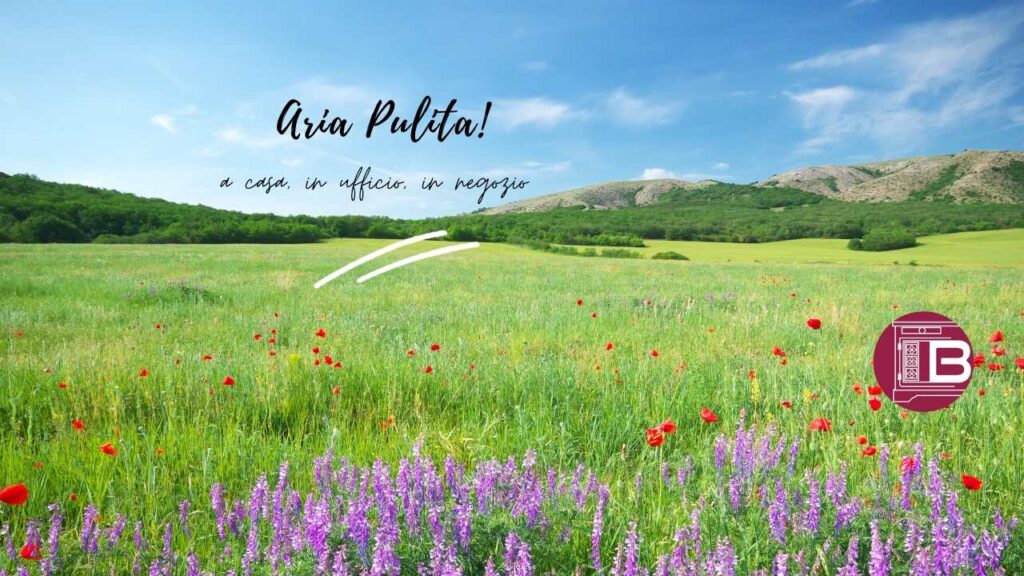 Aria Pulita